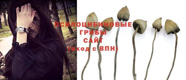таблы Покачи