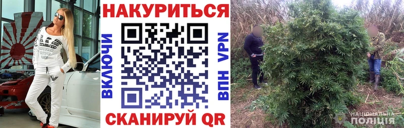 Бошки марихуана OG Kush цены Астрахань